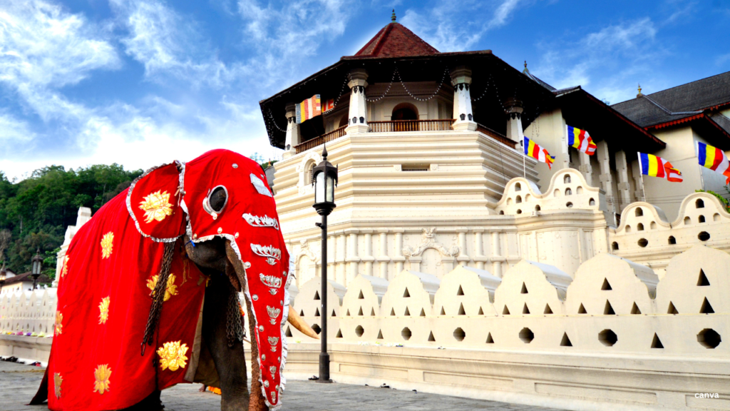 Sri Lanka Waives Visa & ETA Fees for Indians Ahead of T20 World Cup 2026