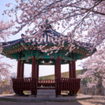 South Korea Visa Free Transit Indians