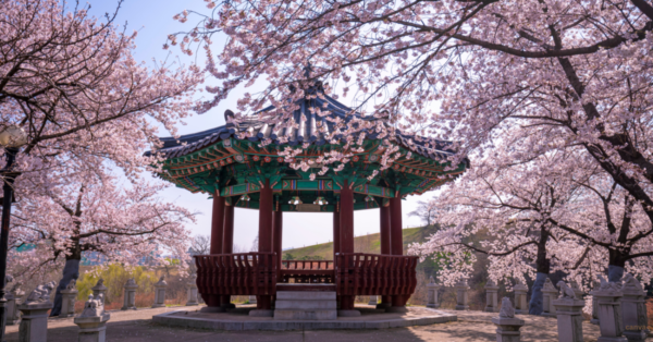 South Korea visa free transit Indians eligibility guide 2026