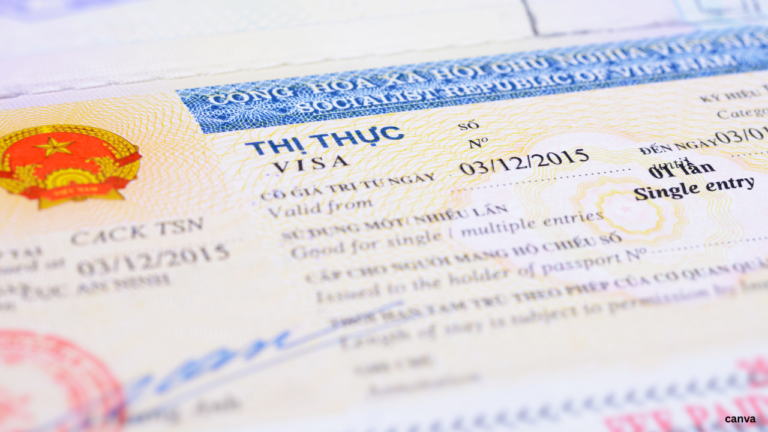 Vietnam E-Visa Issues & Emergency Help for Indians 2026