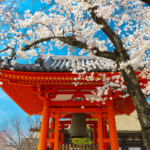 Japan Visa Cover Letter for Indians