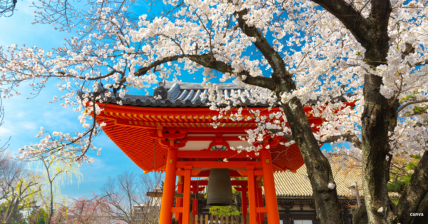 Japan Visa Cover Letter for Indians