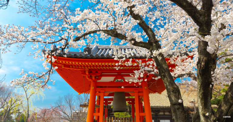 Japan Visa Cover Letter for Indians