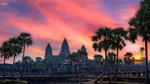 Cambodia Tourism Decline 2026: Warning Foreign Visitor Numbers Fall Nearly 50%
