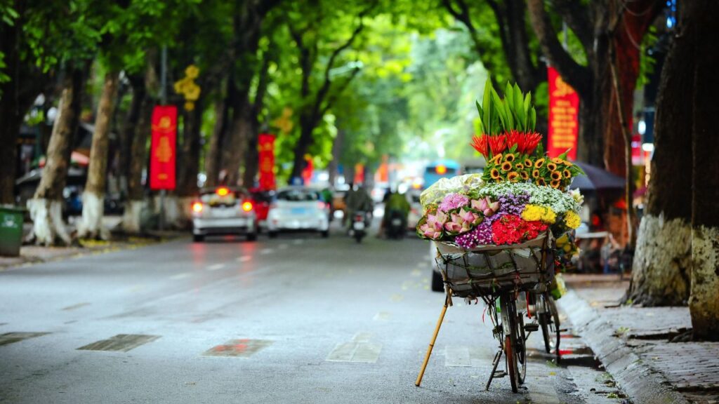 Vietnam Digital Arrival Card 2026: Positive Nha Trang Airport Update for Indians