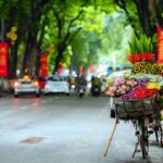Vietnam Digital Arrival Card 2026: Positive Nha Trang Airport Update for Indians