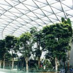 Singapore Changi Airport Q2 2026: India in Top 5 as Traffic Dips 1.5%