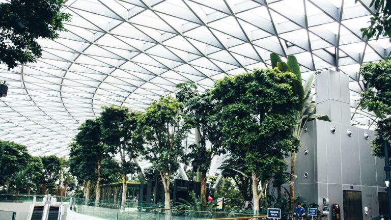 Singapore Changi Airport Q2 2026: India in Top 5 as Traffic Dips 1.5%