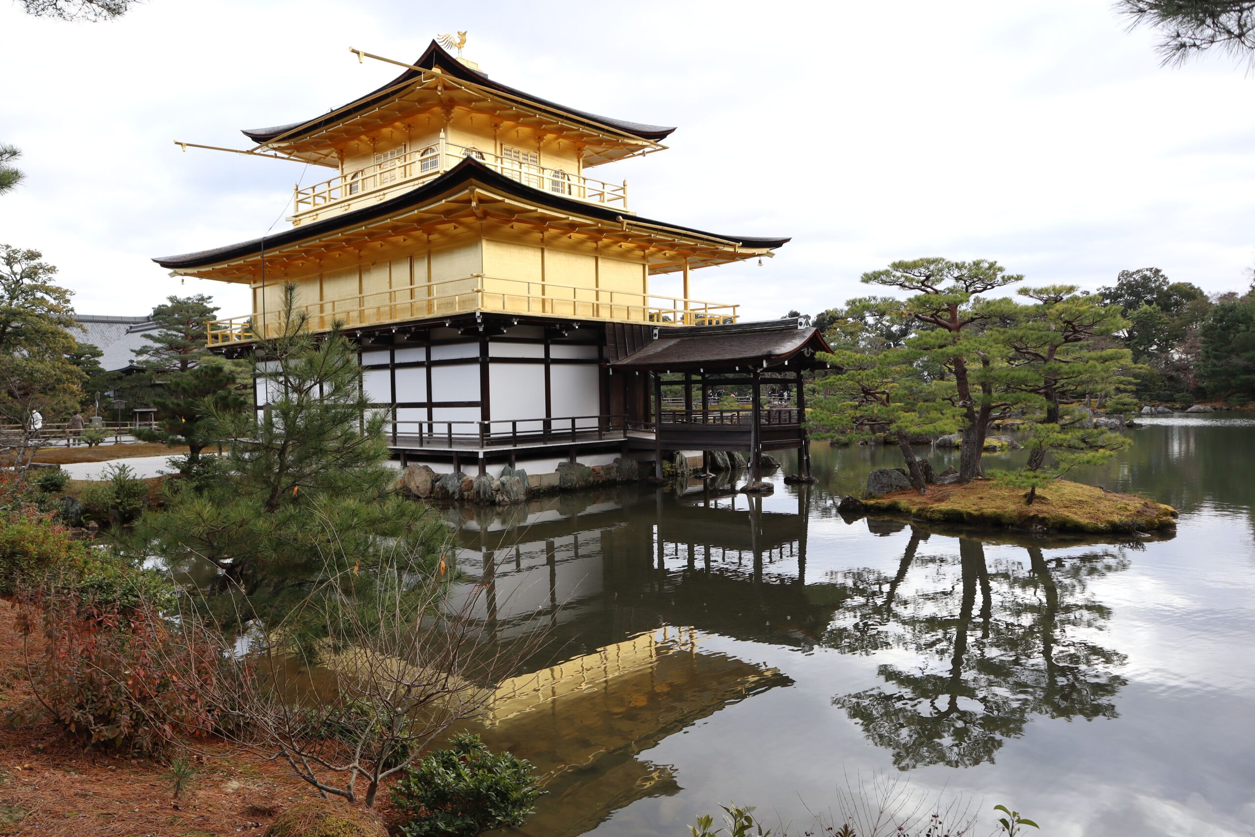 Japan visa cover letter Indians 2026 sample format checklist Embassy New Delhi tourist visa application