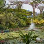 Singapore Gardens by the Bay 2026: Satay by the Bay Closes October 1, Wetlands Coming 2028