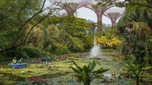 Singapore Gardens by the Bay 2026: Satay by the Bay Closes October 1, Wetlands Coming 2028